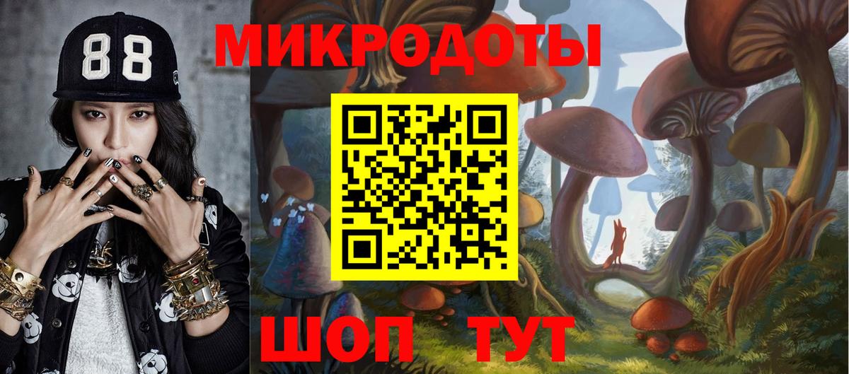 Галлюциногенные грибы Psilocybe Моздок