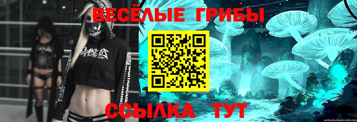 закладка  Вход с VPN  Моздок  Псилоцибиновые грибы Magic Shrooms  Галлюциногенные грибы ЛСД 